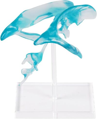 qzzXoq Human Brain Ventricle Model, Enlarged Brain Ventricle Anatomy Model with Central Nerves Ventricle for Medical Experimental Teaching and Educational Display Tools in Saudi Arabia