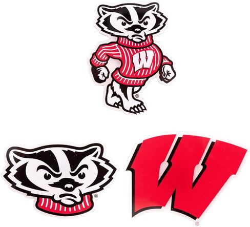 مغناطيس أكريليك من جامعة صبار الصحراء ويسكونسن، 3 عبوات من تصميم UW Badgers الزخرفي مرخص رسميًا (مجموعة المغناطيس A) in Saudi Arabia