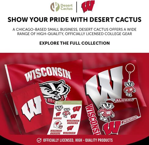 مغناطيس أكريليك من جامعة صبار الصحراء ويسكونسن، 3 عبوات من تصميم UW Badgers الزخرفي مرخص رسميًا (مجموعة المغناطيس A) in Saudi Arabia