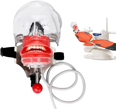 Teaching Model,Dental Phantom Head Model, Dental Teaching Head Model, Manikin Phantom Head, with Bench Mount Fixed on Dental Chair, for Dentist Education and Training Equ in Saudi Arabia