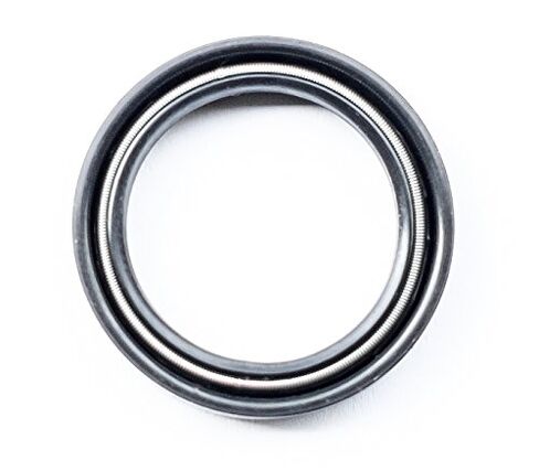 EAI Oil Seal 20mm X 26mm X 4mm TC Double Lip w/Spring. Metal Case w/Nitrile Rubber Coating in Saudi Arabia