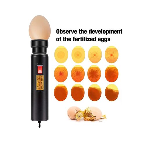 Bright Cool LED Light Egg Candler Tester Incubator for Chickens Ducks Birds Eggs - Powered by Power Cable Only in Saudi Arabia