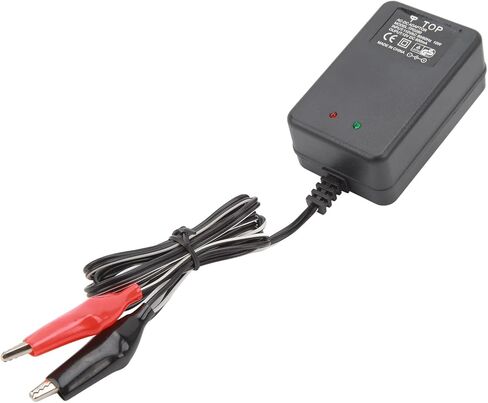 SUNGOOYUE Portable Electric Charger Adapter, 12V 10W Battery Charger with Dual Clip for E Scooter,US Plug in Saudi Arabia
