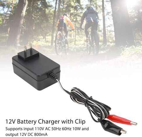 SUNGOOYUE Portable Electric Charger Adapter, 12V 10W Battery Charger with Dual Clip for E Scooter,US Plug in Saudi Arabia