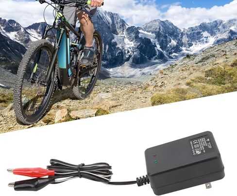 SUNGOOYUE Portable Electric Charger Adapter, 12V 10W Battery Charger with Dual Clip for E Scooter,US Plug in Saudi Arabia