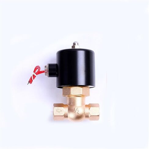 1/2 بوصة ارتفاع ضغط الملف اللولبي بالبخار المغلق عادة 12VDC 24VDC 220VAC 110VAC 1 قطعة (BSP_12VDC) in Kuwait
