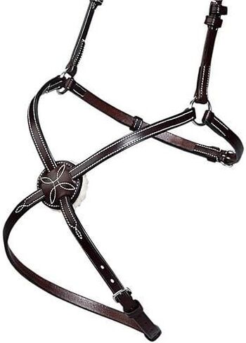 Dover Saddlery Premier Figure 8 Bridle in Saudi Arabia