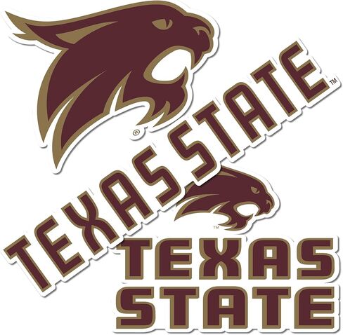 Desert Cactus Texas State University Sticker TXState Bobcats Vinyl Decals Laptop Water Bottle Car Scrapbook T5 (Type 5-1) in Saudi Arabia