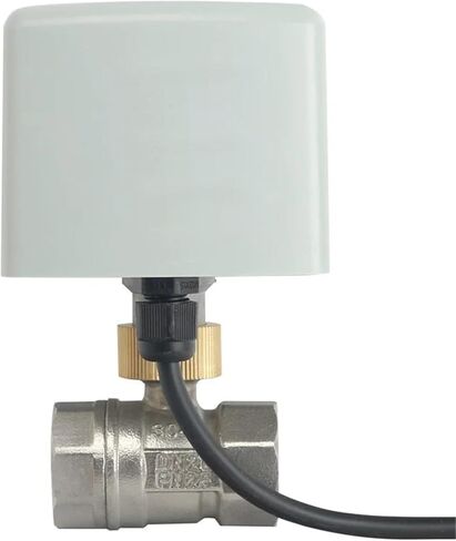 1/2 3/4 1 2 Inch Stainless Steel Motorized Valve 220V 12V 24V 3-Wire 2 Control Electric Ball Valve Big Torque 1Pcs(1",12VDC) in Saudi Arabia
