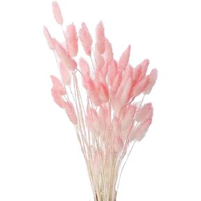 60 Pcs Dried Bunny Tails Flower Lagurus Ovatus Natural Dried Flowers Rabbit Tail Grass Dried Pampas Grass Dried Floral Arrangement for Boho Decor Home Wedding DIY Craft Decoration Pink