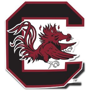 Desert Cactus University of South Carolina Gamecocks USC Cocky Vinyl Decal Laptop Water Bottle Car Scrapbook Sticker (IND 1)