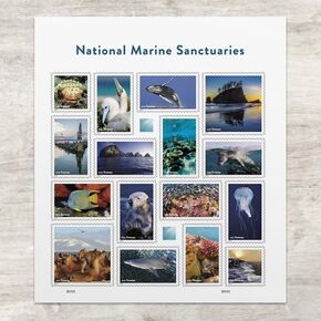 National Marine Sanctuaries (Sheet of 16) First-Class Mail Forever Postage Stamps Scott #5713