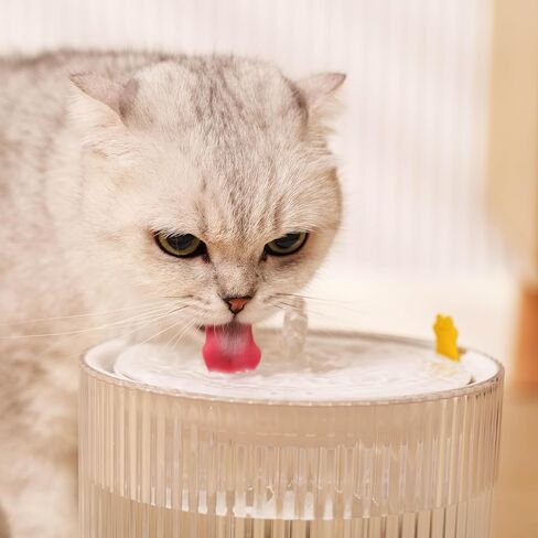 Cat Water Fountain, Automatic Ultra Silent Pet Dispenser 1.8L/63oz with 1 Replacement Filter for Cats and Small Dogs, Transparent. in Kuwait