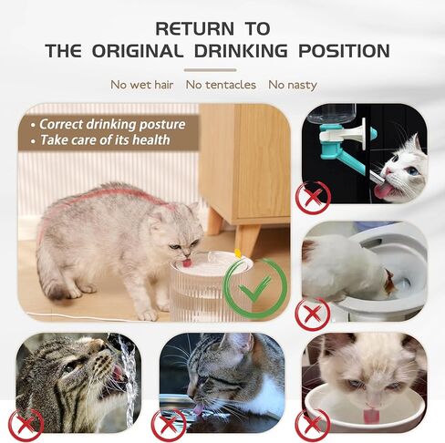 Cat Water Fountain, Automatic Ultra Silent Pet Dispenser 1.8L/63oz with 1 Replacement Filter for Cats and Small Dogs, Transparent. in Kuwait