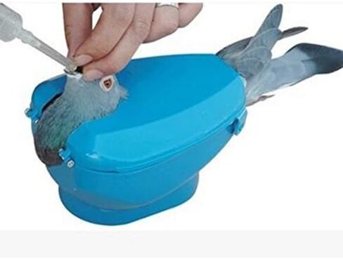 New Pigeon Holder Columba Bird Clothes Given Medicines Device Bird Tools White Pigeon Wholesale and Retail in Saudi Arabia