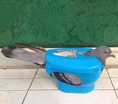 New Pigeon Holder Columba Bird Clothes Given Medicines Device Bird Tools White Pigeon Wholesale and Retail in Saudi Arabia