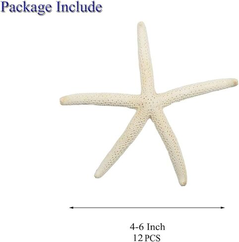 12 قطعة من نجم البحر مقاس 4-5 بوصة، نجم البحر على شاطئ المحيط، صدف طبيعي ملون، نجم البحر مثالي لتزيين الزفاف وحفلات الشاطئ، وديكورات المنزل، والحرف اليدوية، وخزان الأسماك in Kuwait