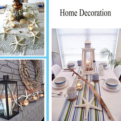 12 قطعة من نجم البحر مقاس 4-5 بوصة، نجم البحر على شاطئ المحيط، صدف طبيعي ملون، نجم البحر مثالي لتزيين الزفاف وحفلات الشاطئ، وديكورات المنزل، والحرف اليدوية، وخزان الأسماك in Kuwait