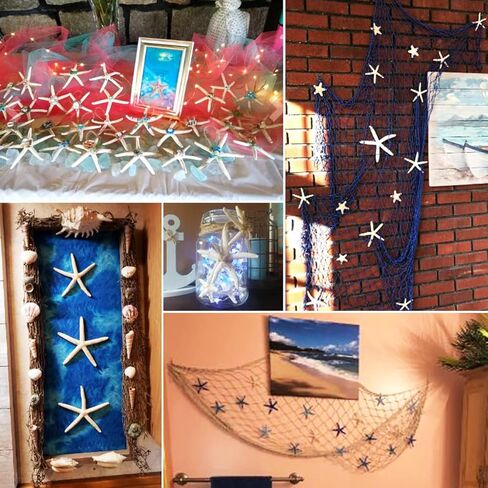 12 قطعة من نجم البحر مقاس 4-5 بوصة، نجم البحر على شاطئ المحيط، صدف طبيعي ملون، نجم البحر مثالي لتزيين الزفاف وحفلات الشاطئ، وديكورات المنزل، والحرف اليدوية، وخزان الأسماك in Kuwait