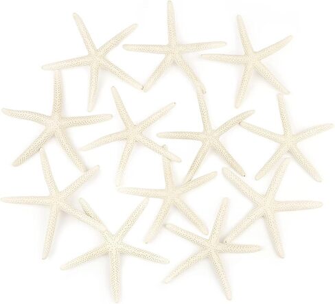 12 قطعة من نجم البحر مقاس 4-5 بوصة، نجم البحر على شاطئ المحيط، صدف طبيعي ملون، نجم البحر مثالي لتزيين الزفاف وحفلات الشاطئ، وديكورات المنزل، والحرف اليدوية، وخزان الأسماك in Kuwait