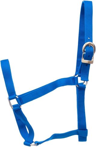 Jeffers Equine Turnout Nylon Halter for Horses, 2-Ply Durable Nylon Webbing, Adjustable Headcollar with Metal Hardware, Equestrian Horse Halter for Stable & Ranch Use in Saudi Arabia