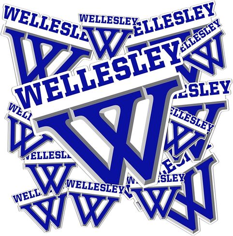 Desert Cactus Wellesley College Sticker Blue Sticker Vinyl Decals Laptop Water Bottle Car Scrapbook (Type 3-1) in Saudi Arabia