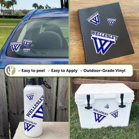 Desert Cactus Wellesley College Sticker Blue Sticker Vinyl Decals Laptop Water Bottle Car Scrapbook (Type 3-1) in Saudi Arabia