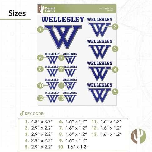Desert Cactus Wellesley College Sticker Blue Sticker Vinyl Decals Laptop Water Bottle Car Scrapbook (Type 3-1) in Saudi Arabia