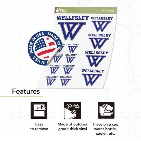 Desert Cactus Wellesley College Sticker Blue Sticker Vinyl Decals Laptop Water Bottle Car Scrapbook (Type 3-1) in Saudi Arabia