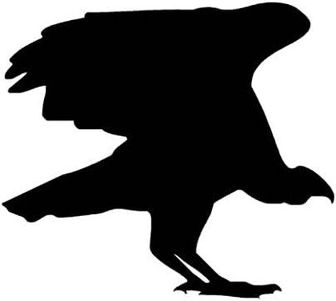 Ranger Products Vulture Condor Bird of Prey Decal Sticker, Die Cut Vinyl Decal for Windows, Cars, Trucks, Tool Boxes, laptops, MacBook - virtually Any Hard, Smooth Surface in Saudi Arabia