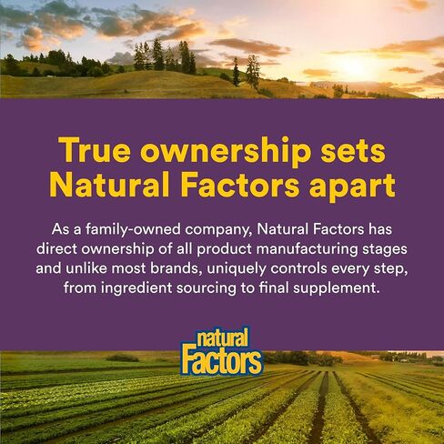 Natural Factors - Nattokinase 100mg, Supports Circulatory Health, 60 Vegetarian Capsules in Saudi Arabia