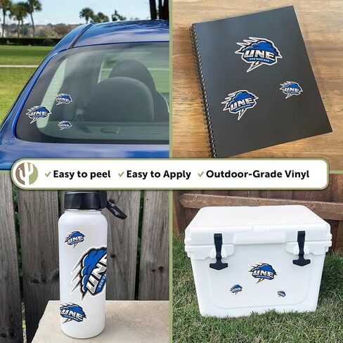 Desert Cactus University of New England Sticker UNE Nor'Easters Vinyl Decals Laptop Water Bottle Car Scrapbook Sheet (Type 3-1) in Saudi Arabia