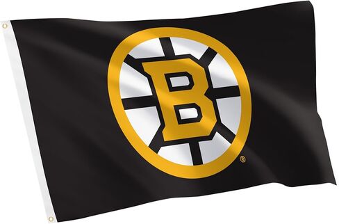 علم صبار الصحراء بوسطن بروينز - 3 × 5 أقدام فريق الهوكي الوطني NHL، قماش متين للاستخدام الداخلي/الخارجي، تصميم بوليستر 100% (تصميم D) in Saudi Arabia