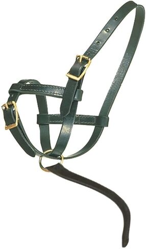 Schneiders Premier Leather Foal Halter for Horses - Newborn | Double Stitched Harness Leather | Soft Fit for Sucklings | Brass-Plated Hardware | Grab Strap for Leading in Saudi Arabia