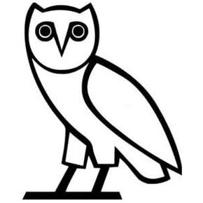 Owl Standing Fan Art Sketch 5.5" Tall Wild Animal Bird Custom Die Cut Decal - Black Color in Saudi Arabia