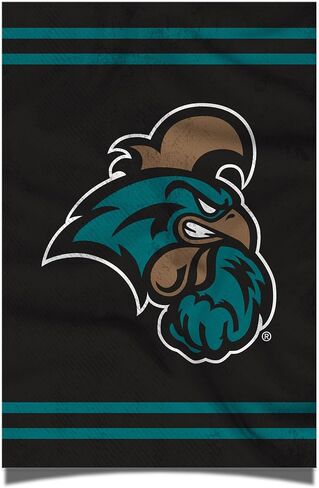 ملصق جامعة Desert Cactus Coastal Carolina University Chanticleers CCU مقاس 11 × 17 بوصة ديكور غرفة المكتب والعتاد الرسمي (11 × 17 بوصة، الإصدار 3) in Saudi Arabia