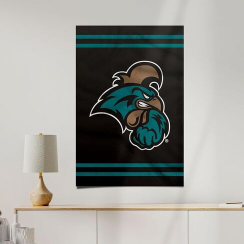 ملصق جامعة Desert Cactus Coastal Carolina University Chanticleers CCU مقاس 11 × 17 بوصة ديكور غرفة المكتب والعتاد الرسمي (11 × 17 بوصة، الإصدار 3) in Saudi Arabia