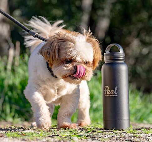 Generic Stainless Steel Water Bottle with Storage Compartment, 32oz, BPA Free for Hiking and Sports, Black in Saudi Arabia
