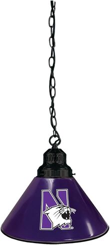 HBS Northwestern University Single Shade Pendant Light in Saudi Arabia