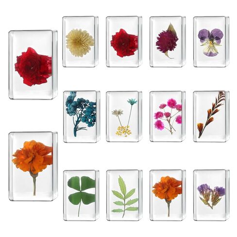9 Pcs Taxidermy Insects in Resin Blocks,Real Bug Specimens Set for Science Lab Kit, Unique Taxidermy Spider Bee Moth Beetle Display Supplies Paperweights Insect Collector Home Decor(1.5 X 1.5 X 0.6In) in Saudi Arabia