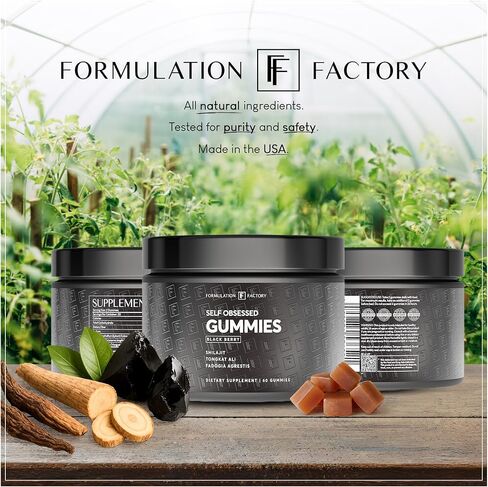 Formulation Factory Self Obsessed Shilajit Gummies for Men, Tongkat Ali + Fadogia Agrestis Supplement, Energy, Strength, Drive & Vitality Support, Natural Masculinity Formula, 60 Count (Pack of 1) in Saudi Arabia