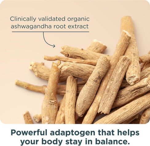 Ancient Nutrition Women’s 50+ Multivitamin with Ashwagandha – Menopause Support for Hot Flashes, Sleep, Mood, Energy & Hormonal Balance – 21 Vitamins & Minerals – 30 Servings in Saudi Arabia
