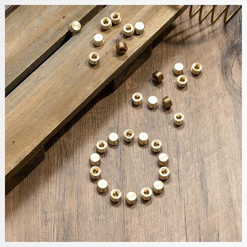 30 Pcs 1/4" NPT Brass Male Pipe Plug Fitting Set Internal Hex Thread Socket Pipe Plug Kit Hex Counter Sunk Plugs for End Closure in Saudi Arabia
