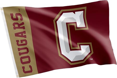 Desert Cactus College of Charleston Flag Cougars C of C Banners 100% Polyester Indoor Outdoor 3x5 feet Flags (Team Name) in Saudi Arabia