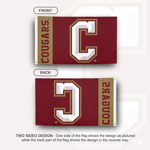 Desert Cactus College of Charleston Flag Cougars C of C Banners 100% Polyester Indoor Outdoor 3x5 feet Flags (Team Name) in Saudi Arabia