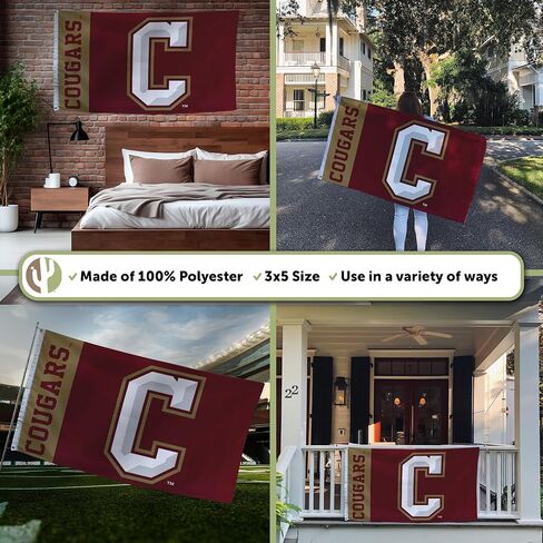 Desert Cactus College of Charleston Flag Cougars C of C Banners 100% Polyester Indoor Outdoor 3x5 feet Flags (Team Name) in Saudi Arabia