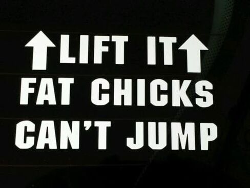 ملصق من الفينيل - ملصق Lift it Fat Chicks Can't Jump Truck Fun Hunt Country Hunt، ملصق من الفينيل مقطوع بالقالب للنوافذ والسيارات والشاحنات وصناديق الأدوات وأجهزة الكمبيوتر المحمولة وأجهزة MacBook - تقريبًا أي سطح صلب وأملس in Kuwait