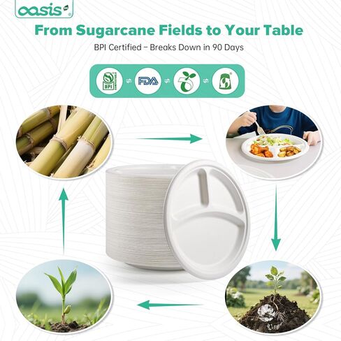 𝟭𝟬 𝗶𝗻𝗰𝗵, 𝟭𝟮𝟴-𝗣𝗮𝗰𝗸 3-Compartment Disposable Paper Plates, Compostable Heavy-Duty Divided Plates for Meal Prep, School Lunches & Party Buffets (White) in Saudi Arabia