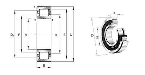 1 قطعة NJ2206EM C3 NJ2206 42506 H 30x62x20 محامل أسطوانية in Saudi Arabia