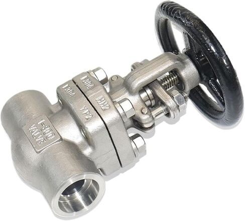 Socket Welded Forged Steel Globe Valve F304 Self Sealing Gate Z61W-800LB High Pressure in Saudi Arabia